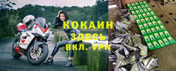 соль ск Няндома