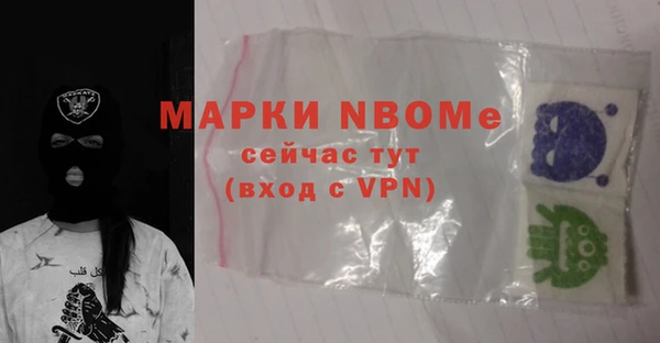 соль ск Няндома
