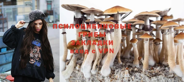 ALPHA-PVP Осинники