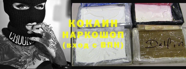 соль ск Няндома