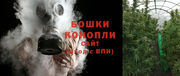 ГАЛЛЮЦИНОГЕННЫЕ ГРИБЫ Бежецк