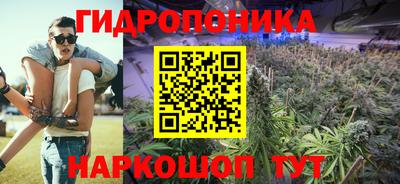apvp Камышлов