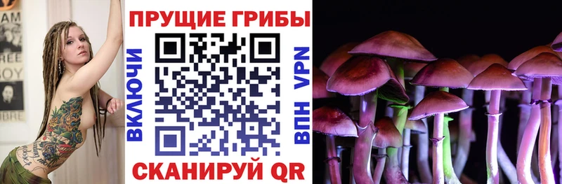 Галлюциногенные грибы GOLDEN TEACHER  Прохладный 