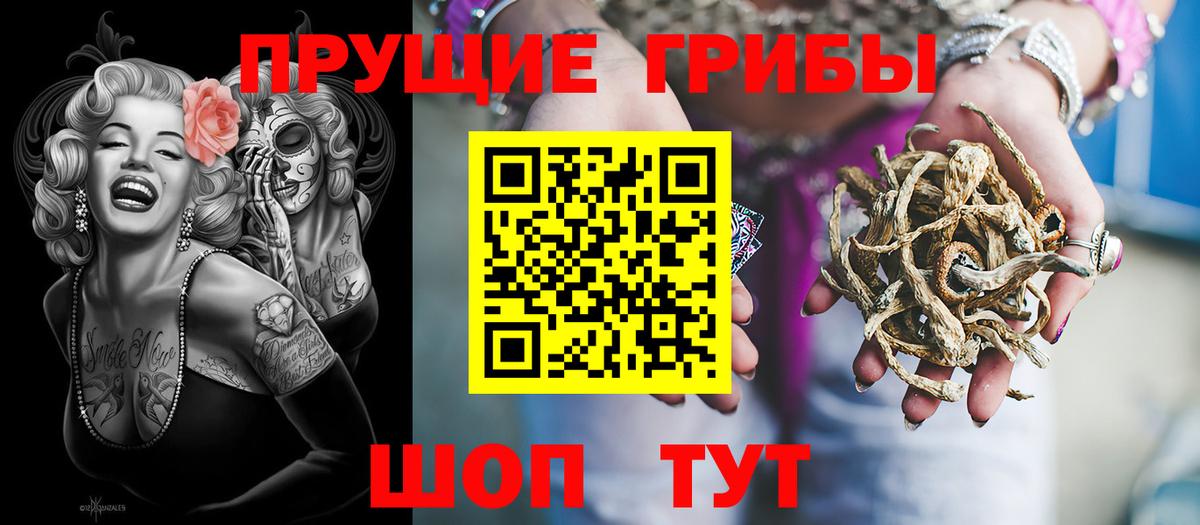 Псилоцибиновые грибы Psilocybine cubensis  наркота  Прохладный 