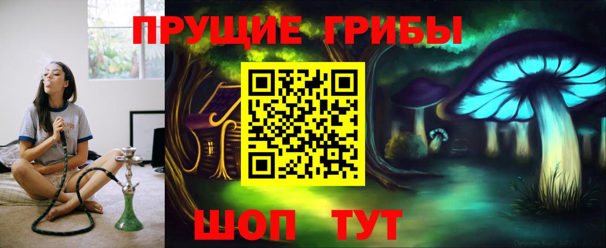 Галлюциногенные грибы Psilocybine cubensis Прохладный
